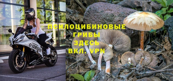 прущая мука Белокуриха